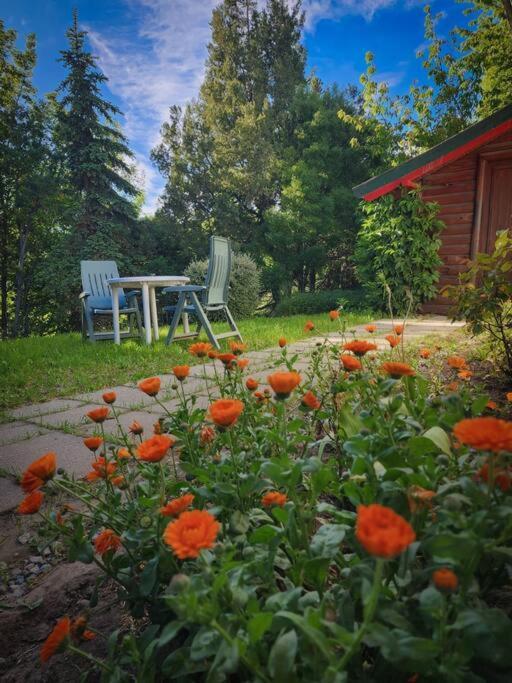 Encantadora Casa Con Bosquecito Villa San Carlos de Bariloche Exterior photo